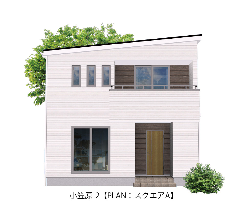 小笠原-2